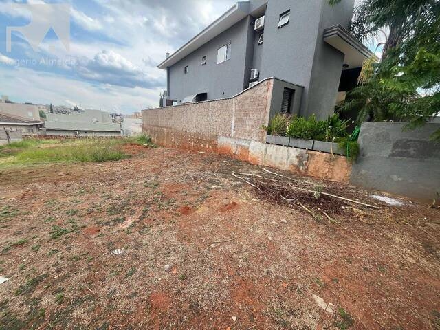 #16 - Área para Venda em São José do Rio Preto - SP - 2