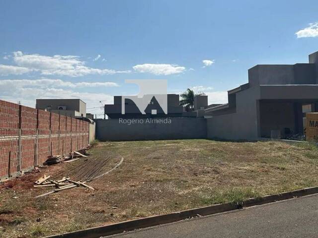 #47 - Área para Venda em São José do Rio Preto - SP - 1