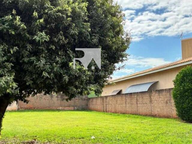 #49 - Área para Venda em São José do Rio Preto - SP - 3